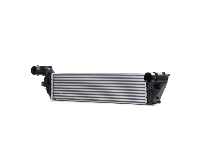 STARK SKICC-0890217 Intercooler RENAULT ESPACE 4 (JK0/1) 173 CV Diesel coût