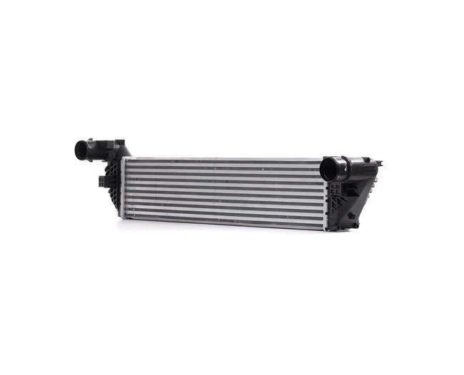 RIDEX 468I0102 Intercooler RENAULT ESPACE 4 (JK0/1) 173 CV Diesel coût