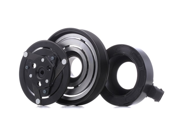 RIDEX 1236M0011 Embraiagem magnética, compressor do ar condicionado NISSAN Qashqai / Qashqai +2 I (J10, NJ10) 106 cv Diesel custo