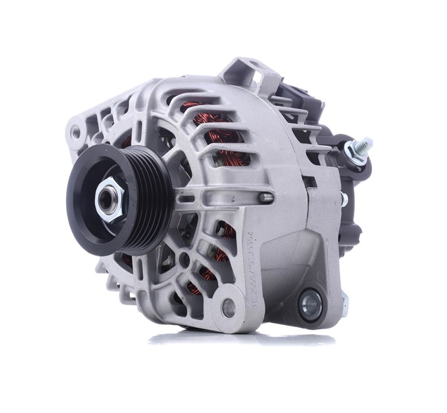 STARK SKGN-0320827: Kintamosios srovės generatorius 110A