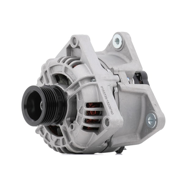 STARK SKGN-0320879: Laturi 100A