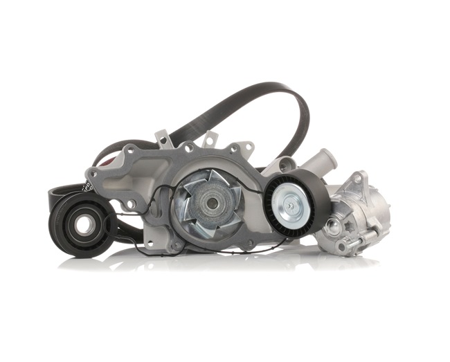 RIDEX 4172P0002 Αντλία νερού + σετ ιμάντων poly-V MERCEDES-BENZ C-class Sedan (W203) 170 PS Πετρέλαιο κόστος