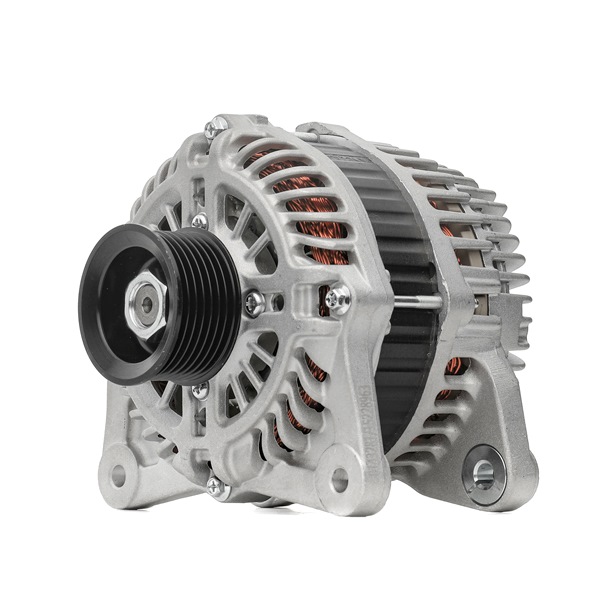 STARK SKGN-0320916: Alternatore 120A