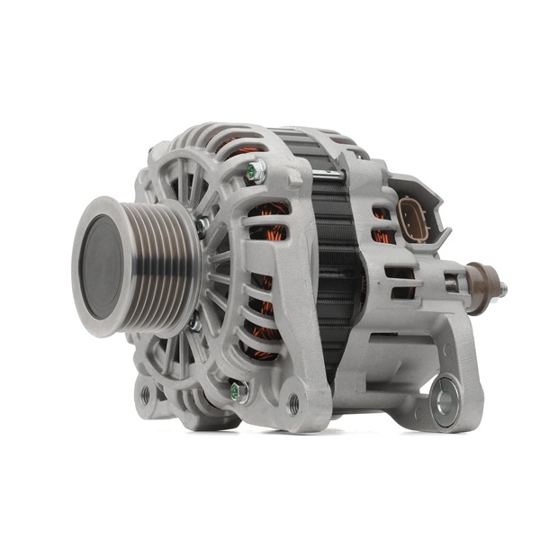 RIDEX 4G0736: Dynamo 100A