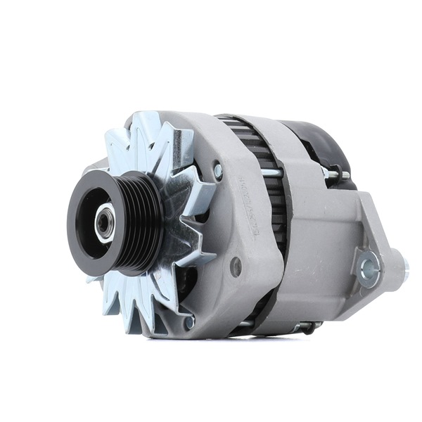 RIDEX 4G0767 Dynamo / Alternator RENAULT 19 II (B/C53_) 88 Pk Benzine kosten