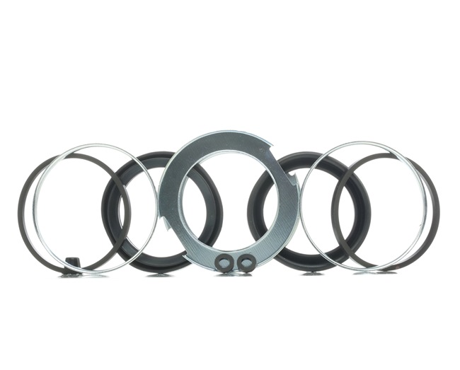 RIDEX 405R0107: Set reparatie, etrier