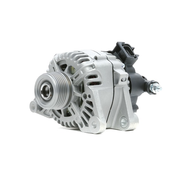STARK SKGN-0321068: Kintamosios srovės generatorius 90A