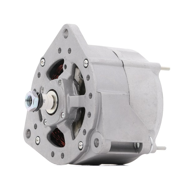 STARK SKGN-0321073: Alternatore 80A
