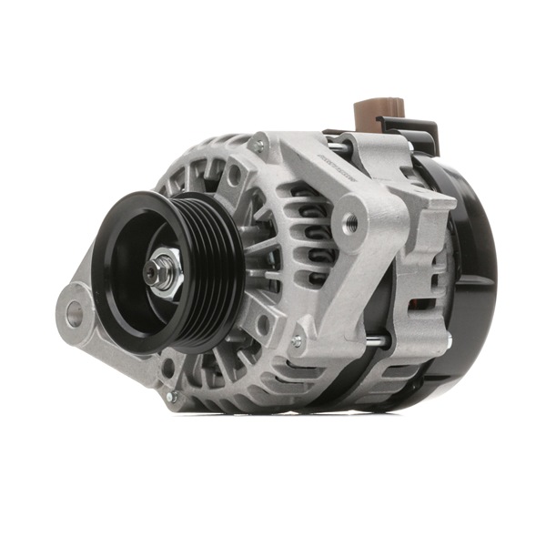 STARK SKGN-0321102: Alternateur 80A