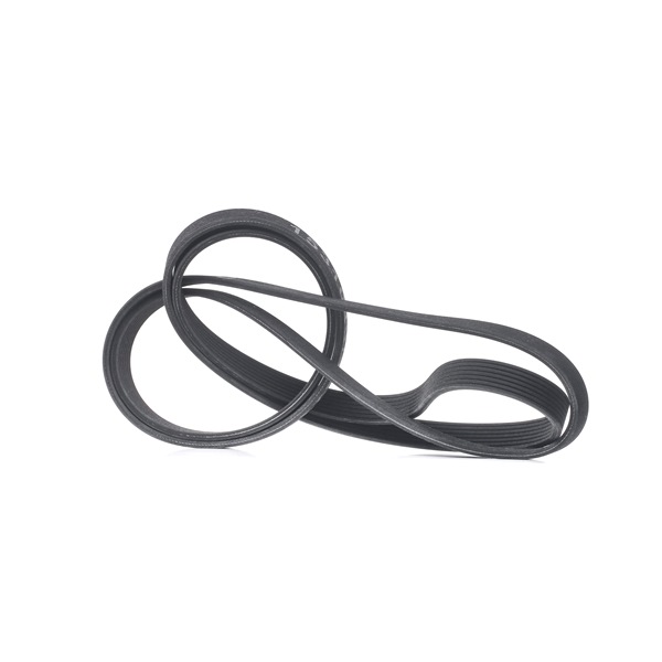 RIDEX 305P0459: Courroie Poly-V 2950mm, Nombre de gorges: 7