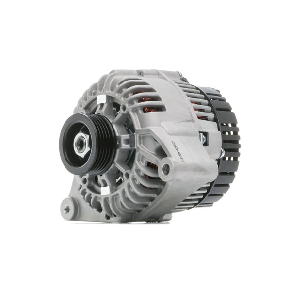 STARK SKGN-0321128: Alternatore 80A, con regolatore integrato