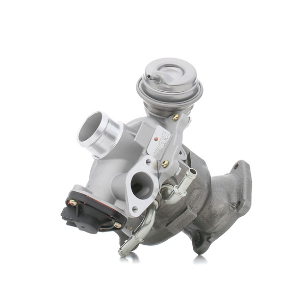 RIDEX 2234C0317 Turbokompresorius FORD C-Max 2 (DXA/CB7, DXA/CEU) 125 AG benzinas kaina