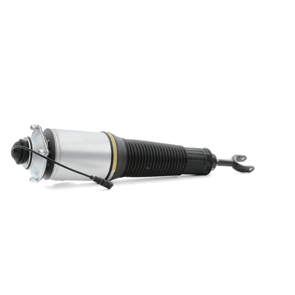 RIDEX 4118A0029 Ammortizzatore pneumatico VOLKSWAGEN Phaeton (3D1, 3D2, 3D3, 3D4, 3D6, 3D7, 3D8, 3D9) 335 CV Benzina costo