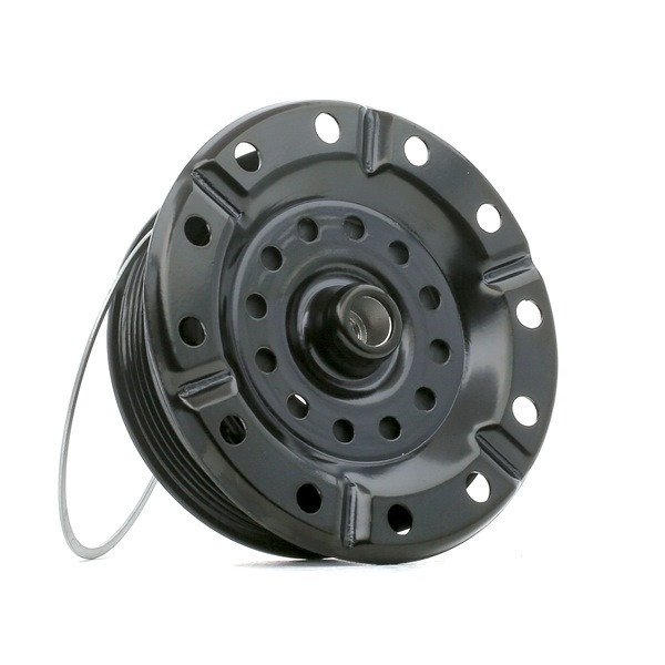 RIDEX 1236M0016: Magnetsidur, kliimakompressor