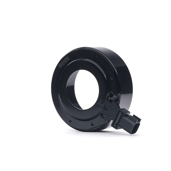 RIDEX 2914C0009: Pool, Magnetsidur-kompressor