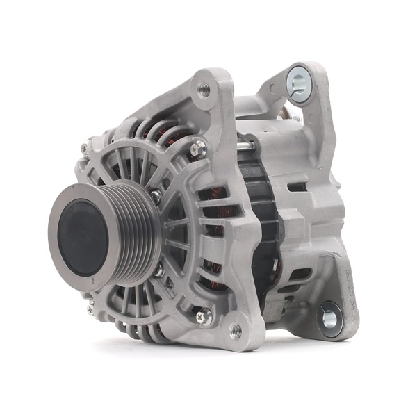 STARK SKGN-0321246: Kintamosios srovės generatorius 90A
