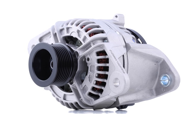 STARK SKGN-0321285: Alternateur 80A