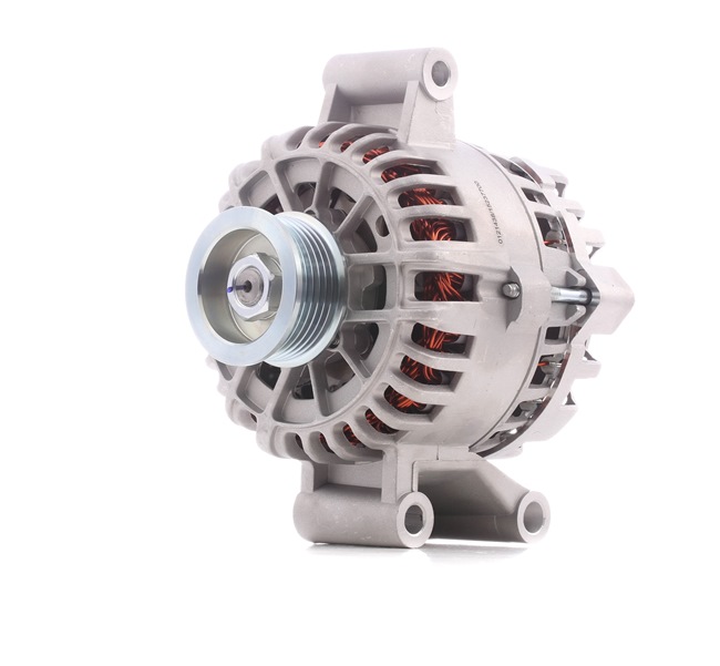 STARK SKGN-0321291: Kintamosios srovės generatorius 110A
