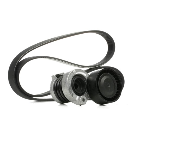 DAYCO KPV386: Set curea transmisie cu caneluri