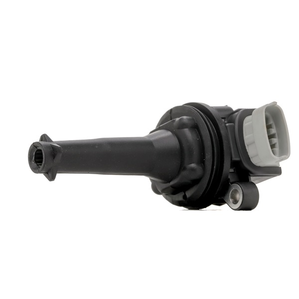 MAGNETI MARELLI 060717209012 Uždegimo ritė VOLVO S60 II (134) 254 AG benzinas kaina