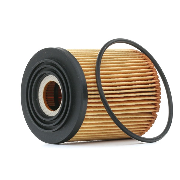 FEBI BILSTEIN 109123 Ölfilter FIAT 500X (334_) 110 PS Benzin Kosten