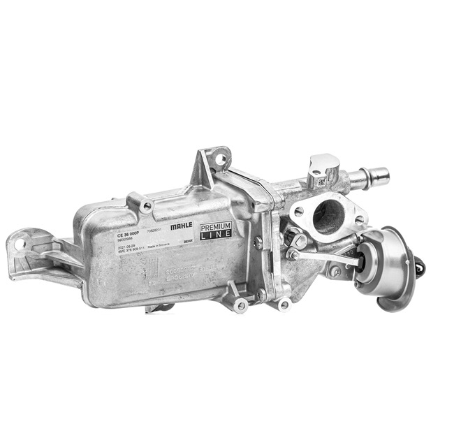 MAHLE ORIGINAL CE 36 000P EGR dzesētājs RENAULT MASTER 3 Kasten (FV) 101 ZS Dīzelis cena