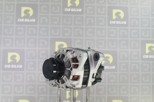 DA SILVA 030646: Alternator 90A