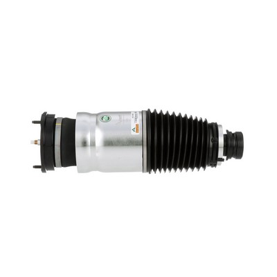 Arnott AS-3380 Ammortizzatore pneumatico TESLA Model S (5YJS) 525 CV Elettrico costo