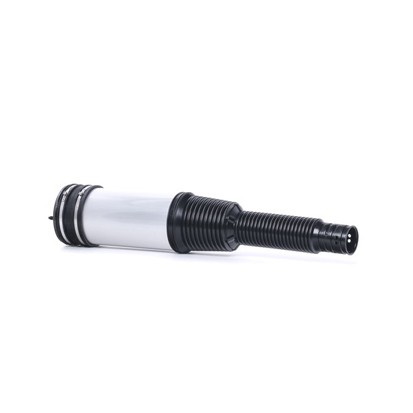 RIDEX 4119A0039: Luftfeder, Fahrwerk Hinterachse beidseitig