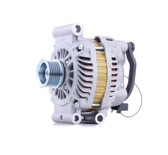 STARK SKGN-0321343: Alternatore 120A