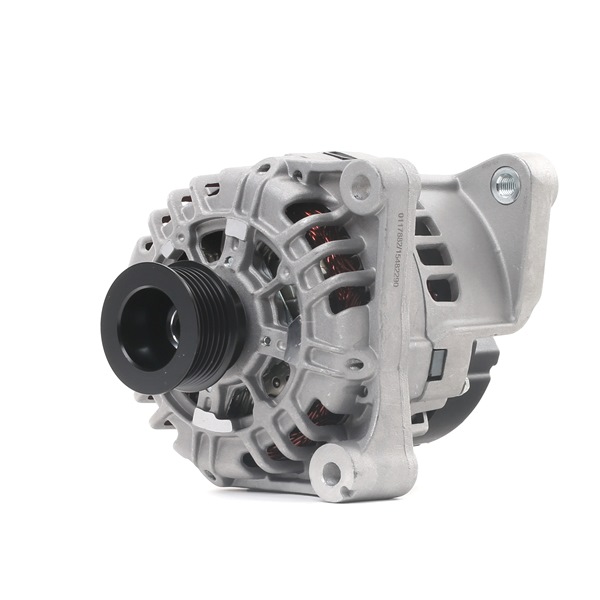 STARK SKGN-0321364: Kintamosios srovės generatorius 120A