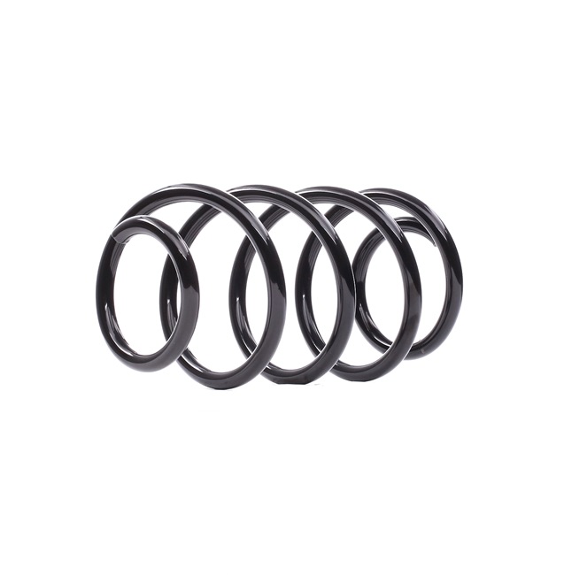 EIBACH R10769 Fjeder VW Passat Variant (3C5) 150 HK Benzin/naturgas (CNG) hvad koster
