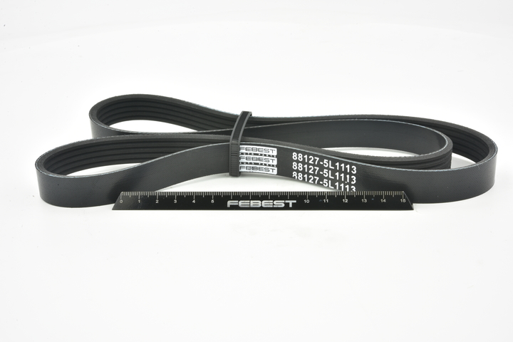 FEBEST 88127-5L1113: Courroie Poly-V 1113mm, Nombre de gorges: 5