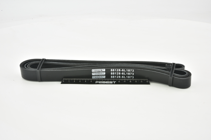 FEBEST 88128-6L1873: Multiriem 1873mm, Ribbenaantal: 6