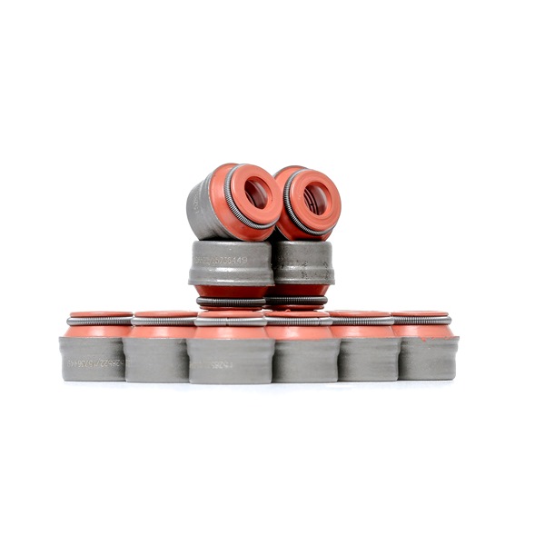 RIDEX 323S0005 Set garnituri, ax supape VW Passat Sedan (3C2) 250 CP benzina cat costa