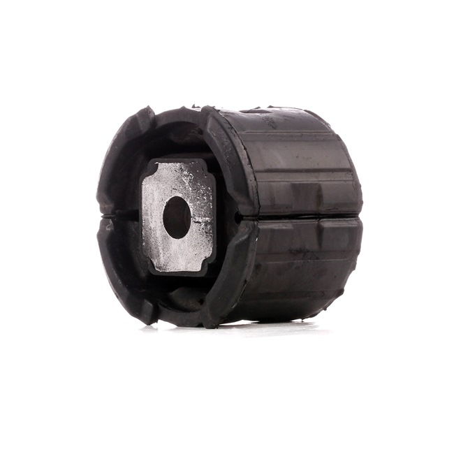 RIDEX 1080M0061: Suport, ax puntea spate, pe ambele parti