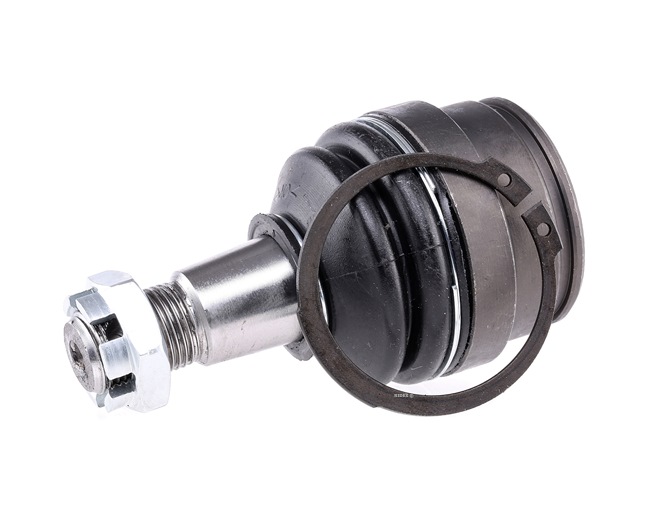 RIDEX 2462S0445: Traggelenk unten, beidseitig, 20,4mm
