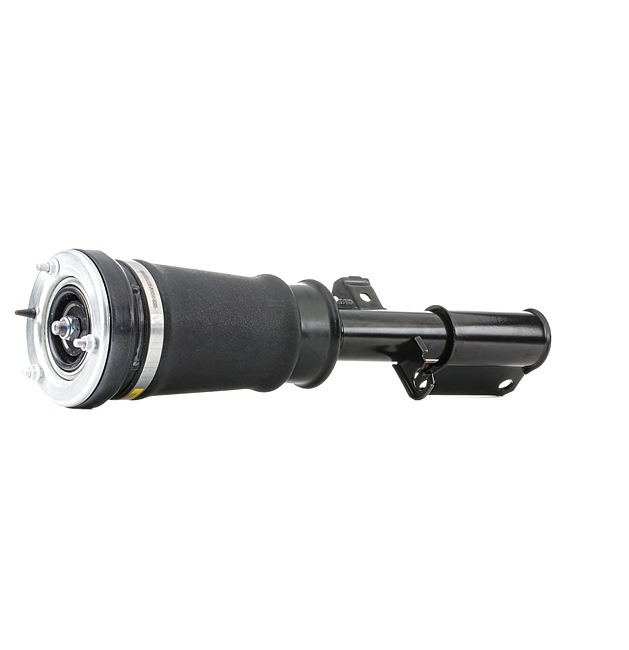RIDEX 4118A0040: Ammortizzatore pneumatico anteriore Sx