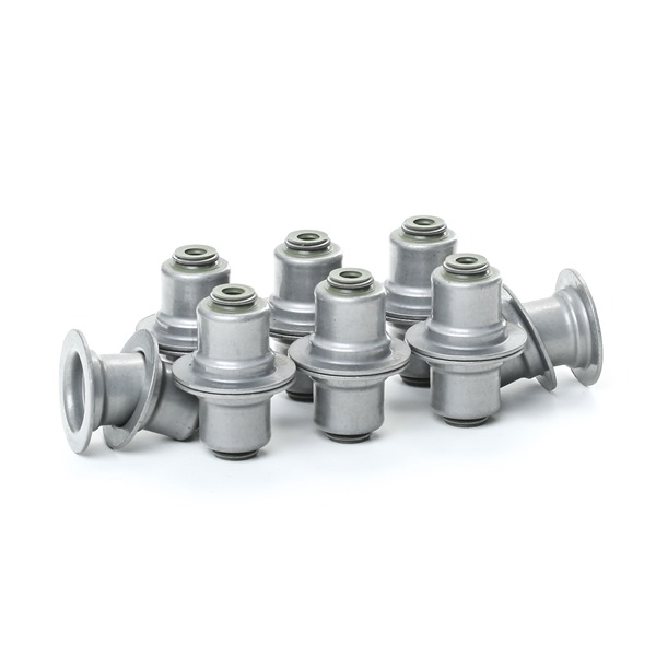 STARK SKSSV-4070005: Set garnituri, ax supape