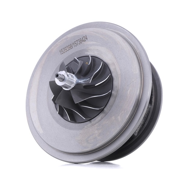 RIDEX 4973C0039: Rumpfgruppe, Lader