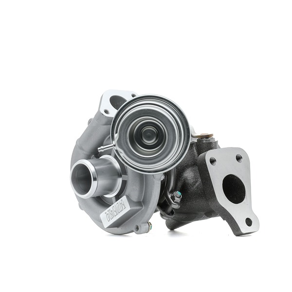 RIDEX 2234C0376 Turbolader FIAT PUNTO EVO (199) 75 PS Diesel Kosten