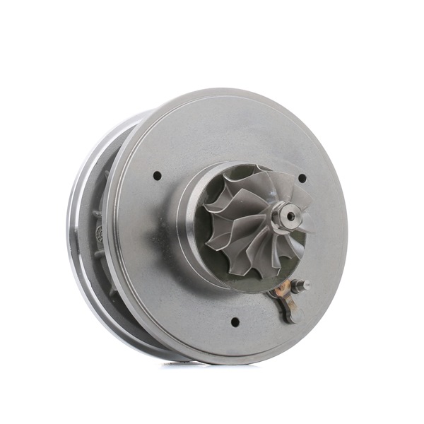 RIDEX 4973C0044 Turbinos kartridžas VOLKSWAGEN Bora Sedanas (1J2) 115 AG dyzelinas kaina