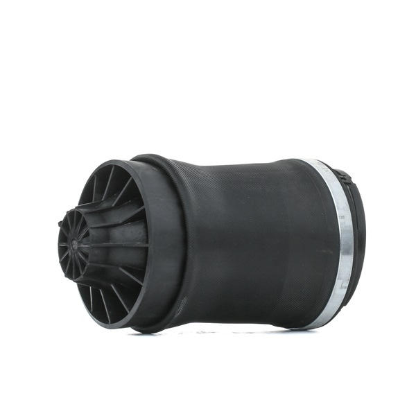 RIDEX 4119A0043: Pernă de aer spate