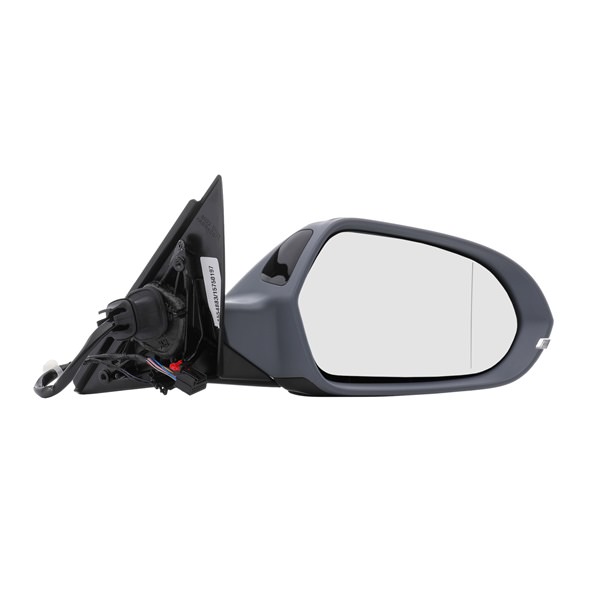 RIDEX 50O0665: Oglinda exterioara dreapta
