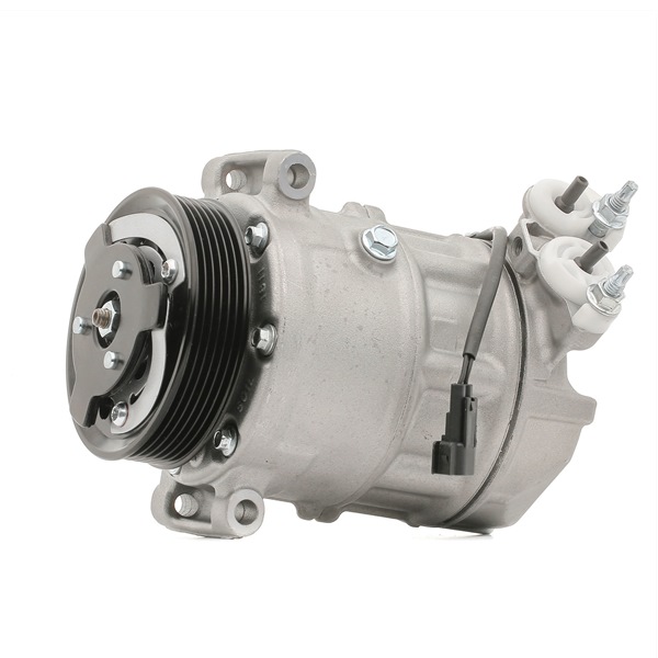 RIDEX 447K0495 Sprężarka klimatyzacji LAND ROVER Range Rover 3 (L322) 510 KM benzyna koszt