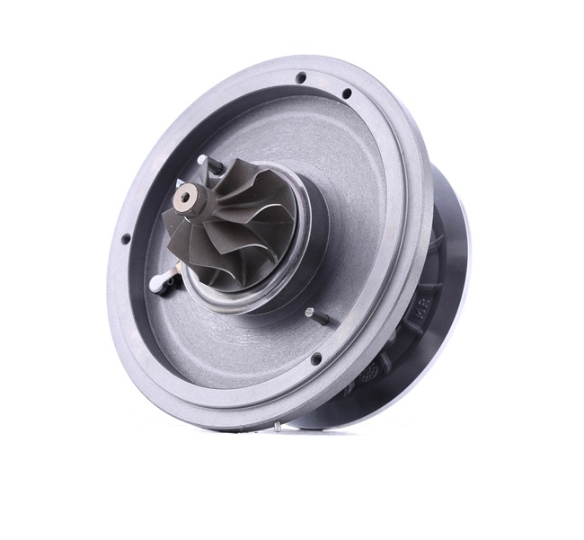 RIDEX 4973C0048: Rumpfgruppe, Lader