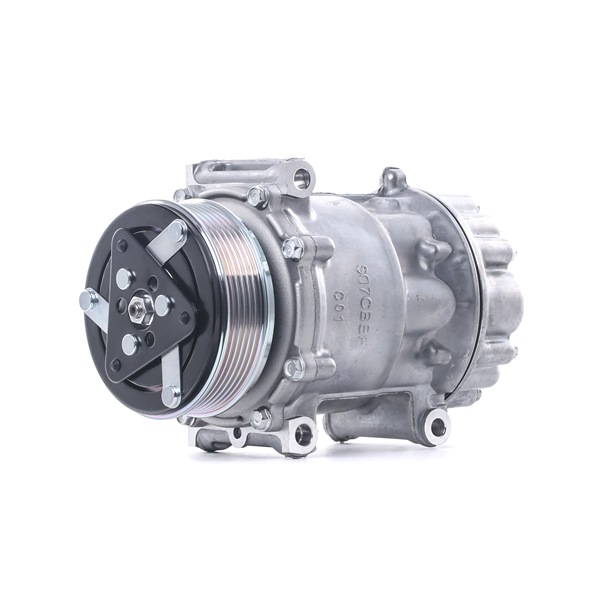 RIDEX 447K0498 Kompresor, klimatizace CITROЁN Jumpy MPV (VF7) 98 HP Diesel cena