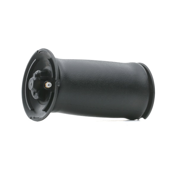 RIDEX 4119A0044: Luftbelg bakaksel