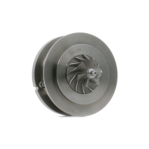 RIDEX 4973C0050: Rumpfgruppe, Lader