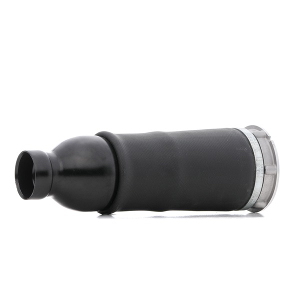 RIDEX 4119A0045: Luftfeder, Fahrwerk Vorderachse